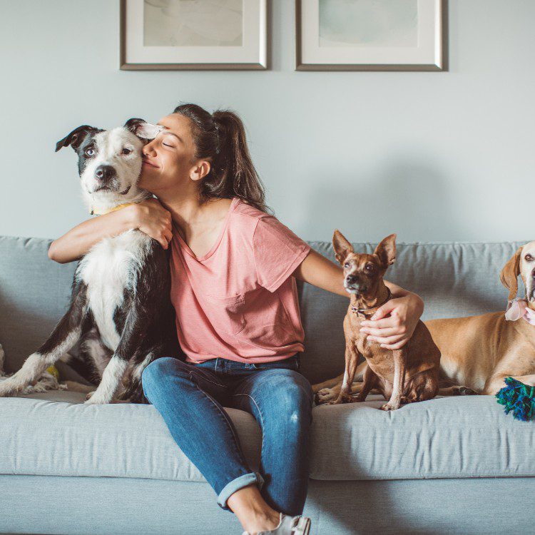 Pet Waste Removal in Geneva, IL Pet Waste Removal in Geneva, IL